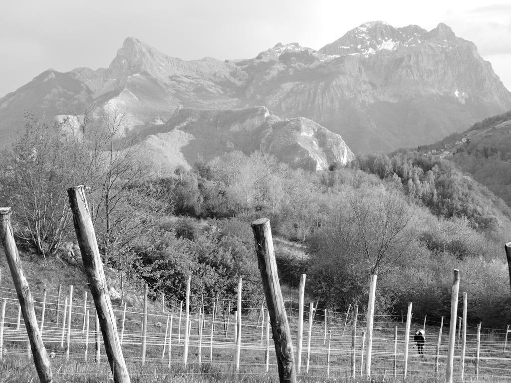 Rifugio Alpi Apuane Ξενοδοχείο Careggine Εξωτερικό φωτογραφία